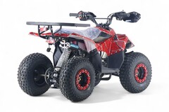 Детский бензиновый квадроцикл RiverToys LEON с электростартером