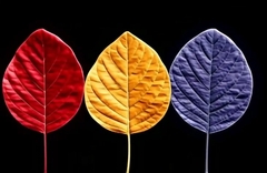 Силиконовый молд лист Фиалки