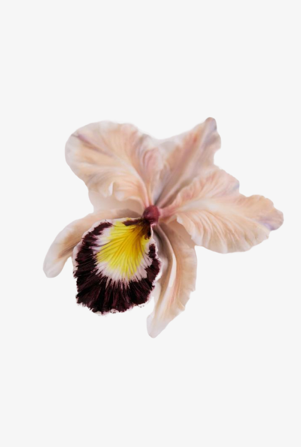 Брошь Каттлея, розовый с бордо