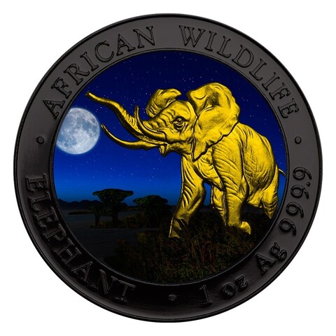 Сомали 2016, 100 шиллингов, серебро, Слон, Ночь