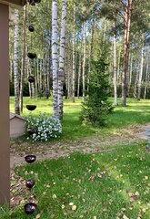 Дождевая цепь 