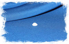 Белая тривия (Trivia candidula), 0,5-1см, 1шт