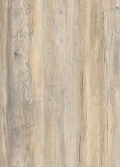 Ламинат Kronostar Synchro-Tec Дуб Небесный D1871 с фаской