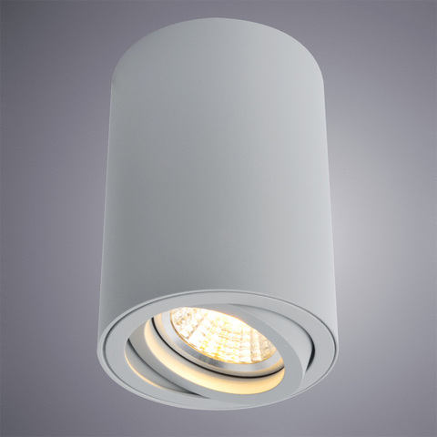 Светильник потолочный Arte Lamp Sentry A1560PL-1GY