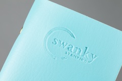 Кейс для пластин Swanky Stamping, на 20 пластин, голубой