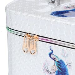 Шкатулка-кейс для украшений и косметики, 21х13х14 см, в асс, Y4-3132