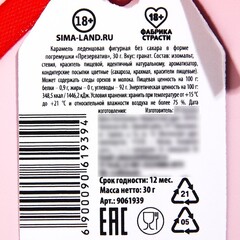 Леденец-погремушка «100% защита», 30 г.