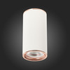 Светильник потолочный ST Luce ST111.527.01