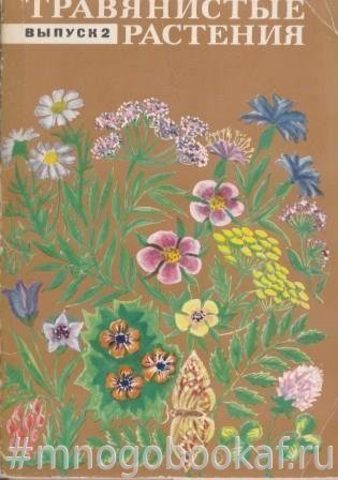 Травянистые растения. Выпуск 2