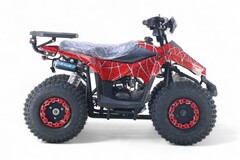 Детский бензиновый квадроцикл RiverToys LEON с электростартером