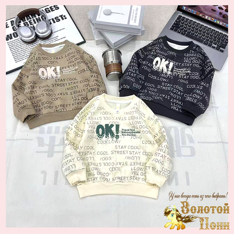 Свитшот хлопок м (2-7) 251026-А769