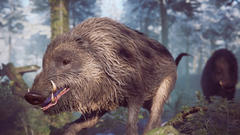 Winter Survival (для ПК, цифровой код доступа)