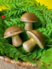 Грибы Белые, крупные, реалистичные, 7*6,5 см, набор 3 штуки