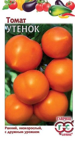 Томат Званый Вечер — сладкий салатный сорт: описание и характеристики