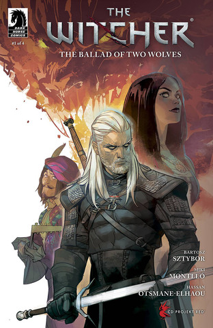 Witcher The Ballad Of Two Wolves #1 (Cover C)