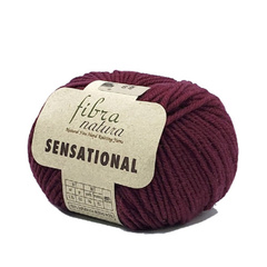 Пряжа Fibra Natura Sensational (40817)