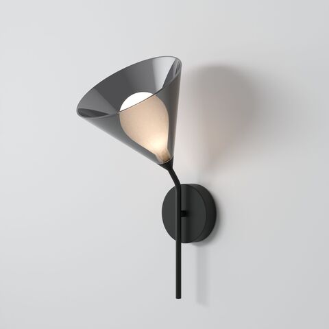 Настенный светильник Eurosvet Enigma 70161/1 черный