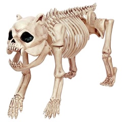 Ужасы Скелет Собаки