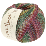 Пряжа Lana Grossa Meilenweit Landlust Sockenwolle VIII 218