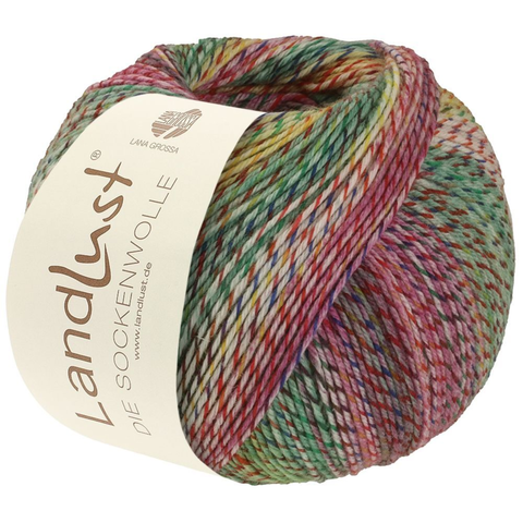 Пряжа Lana Grossa Meilenweit Landlust Sockenwolle VIII 218