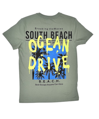 120_БК25 Футболка кор.рукав, хаки