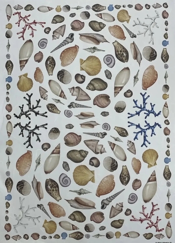 рисовая карта EXCR 16 (35*50см)