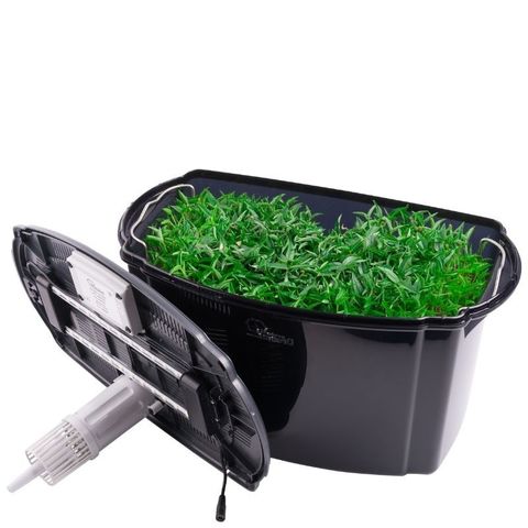 Проращиватель RawMID Dream Sprouter SDM-02 черный (микроферма)