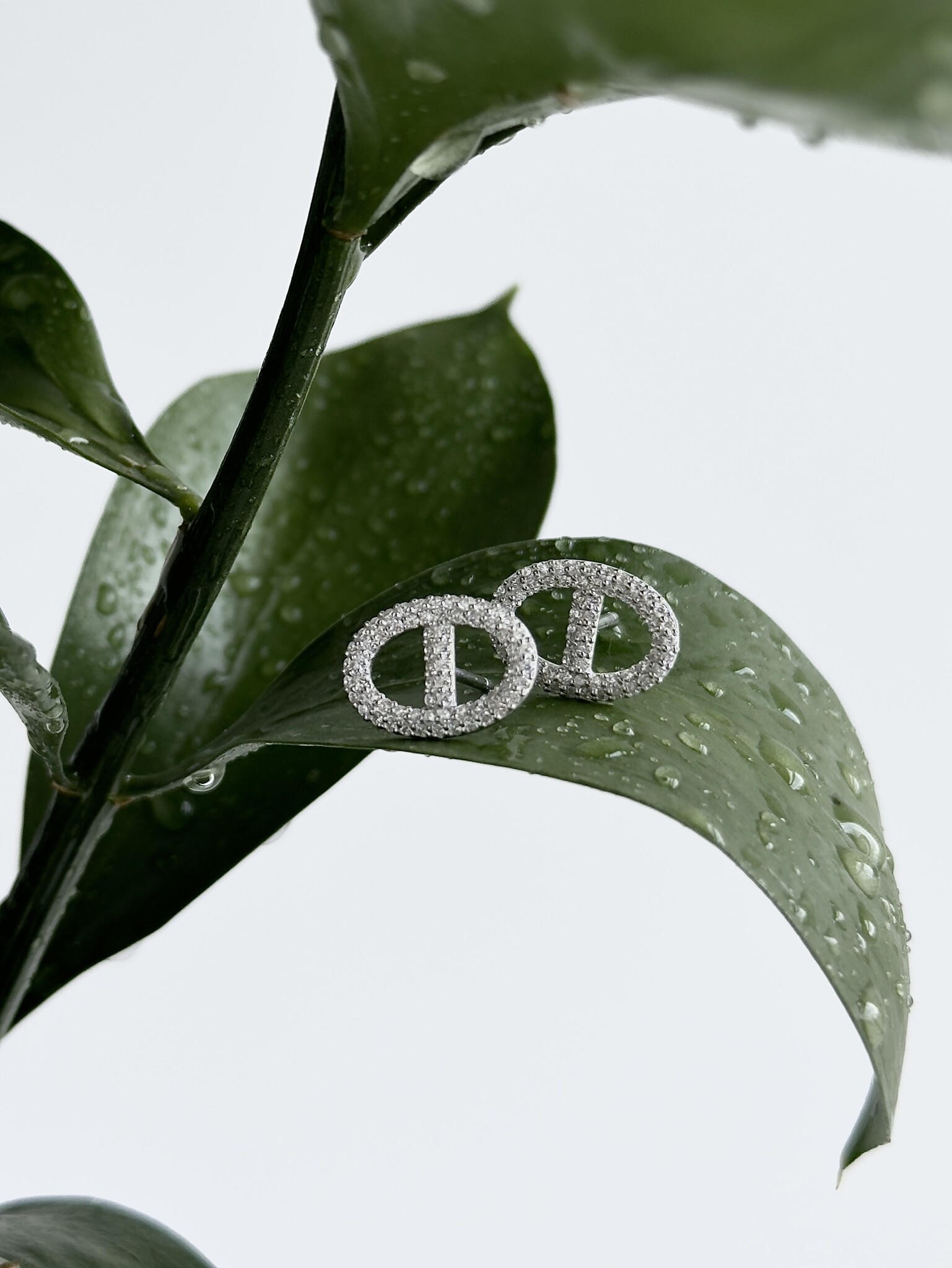 Серьги Пряжка
