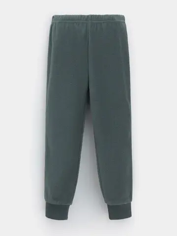 брюки  для мальчика  ФЛ 40006-1/10 ГР