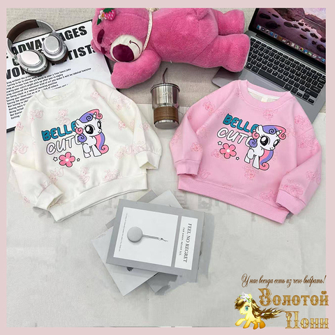 Свитшот хлопок д (2-7) 251026-А770