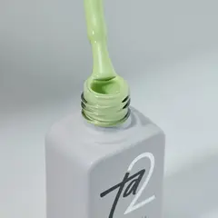 Гель-лак Ta2 / цветной гель-лак №041