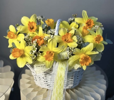 Нарцисс Фортиссимо