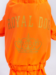 Royal Dog дождевик на мальчика Мандарин М