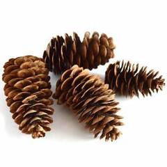 Эко шишка для мангала 30л