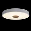 Потолочный светильник Loft It Axel 10003/24 White