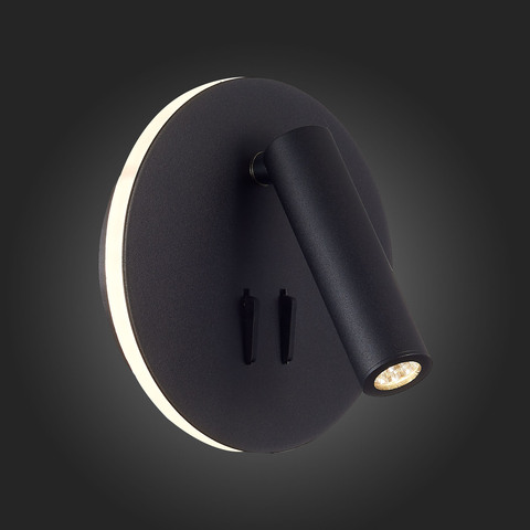 Светильник настенный ST Luce SL1586.413.01