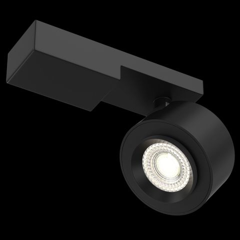 Потолочный светильник Technical Treo C062CL-L12B3K