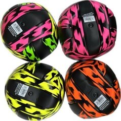 Мяч волейбол