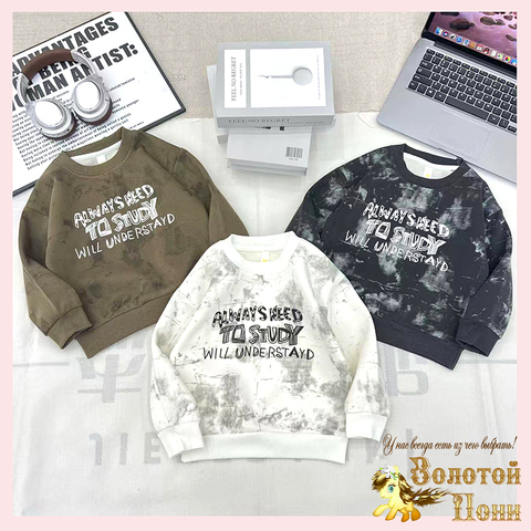 Свитшот хлопок м (2-7) 251026-А777