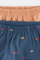 трусы/ уп  для мальчика  К 1930-2уп/пробковое дерево,гроз.туча,транспорт