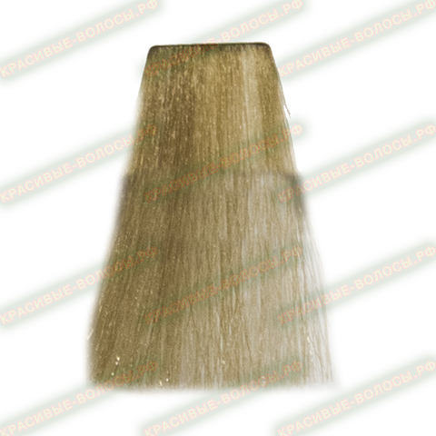 Paul Mitchell Теплый бежевый 10WB 10/03 Permanent Hair Color the color XG 90 ml