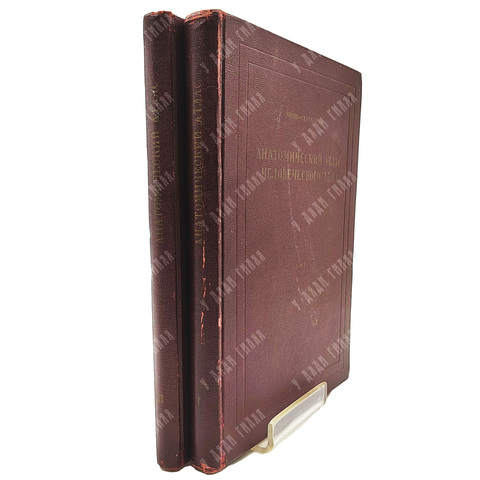 Кишш Ференц. Анатомический атлас человеческого тела. В 2 т. Будапешт. Акад. наук Венг. Медицина.1959