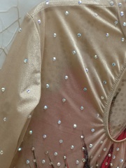 Купальник для выступлений