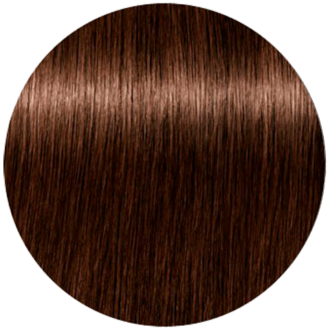 Schwarzkopf Igora Absolutes 6-60 (Темный русый шоколадный натуральный) - Стойкая крем-краска для окрашивания зрелых волос