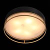 Светильник потолочный ST Luce Chodo SL1127.432.05