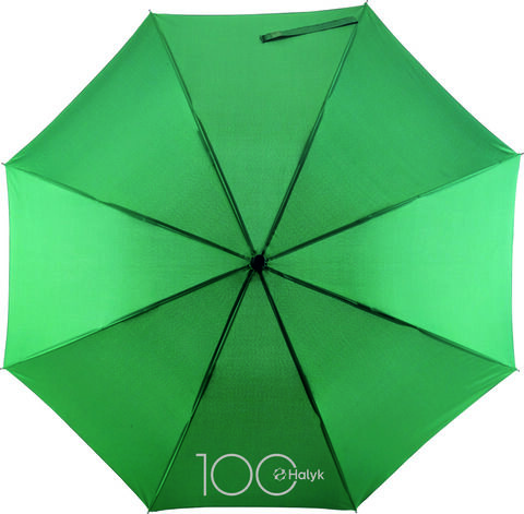 Зонт Halyk 100 Wind