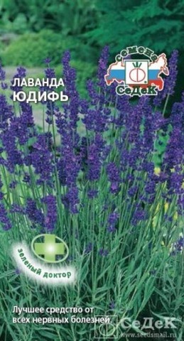 Семена Лаванда Юдифь, мнг
