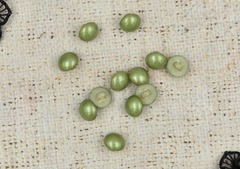 Пуговицы на ножке, d 11 мм, оливковый
