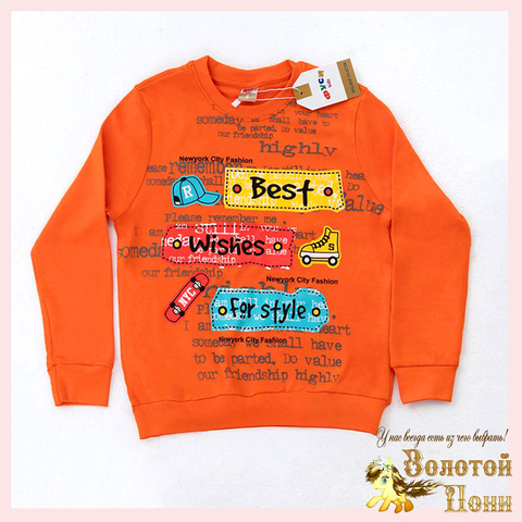 Свитшот хлопок м (1-4) 251031-FU105