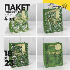 
          Пакет подарочный 18х23х10см Цветы "Листья" (Микс)